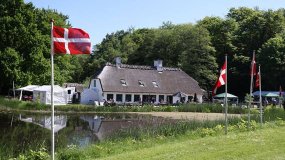 /media/25494/hammermoellen-pinseloerdag-01.jpg