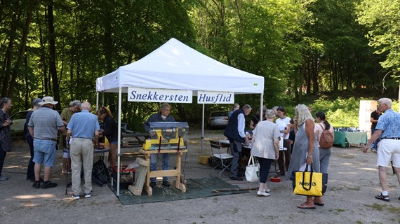 /media/25509/hammermoellen-pinseloerdag-16.jpg