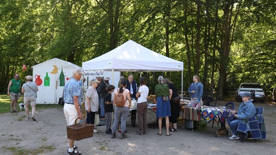 /media/25510/hammermoellen-pinseloerdag-17.jpg