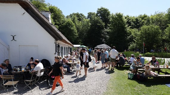 /media/25520/hammermoellen-pinseloerdag-27.jpg