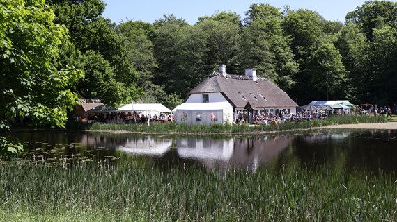 /media/25523/hammermoellen-pinseloerdag-30.jpg