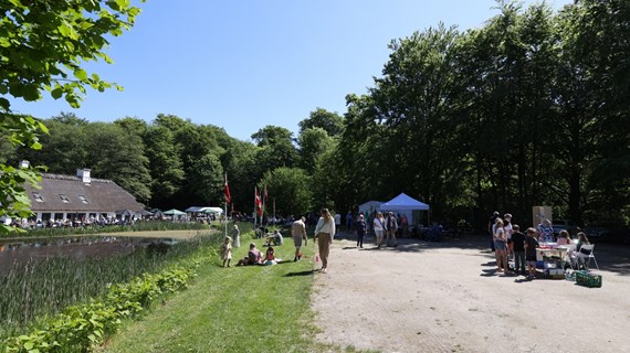 /media/25524/hammermoellen-pinseloerdag-31.jpg